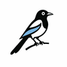 PlayMagpie Logo
